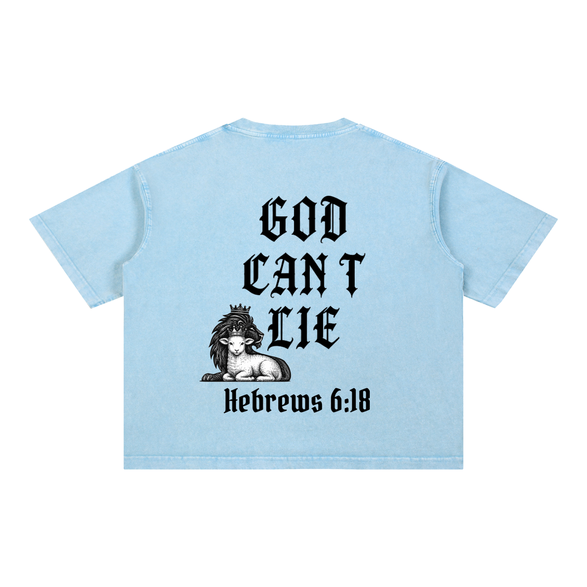 God Can't Lie Oversized Tee — Hebrews 6:18 | Mineral Wash Heavyweight