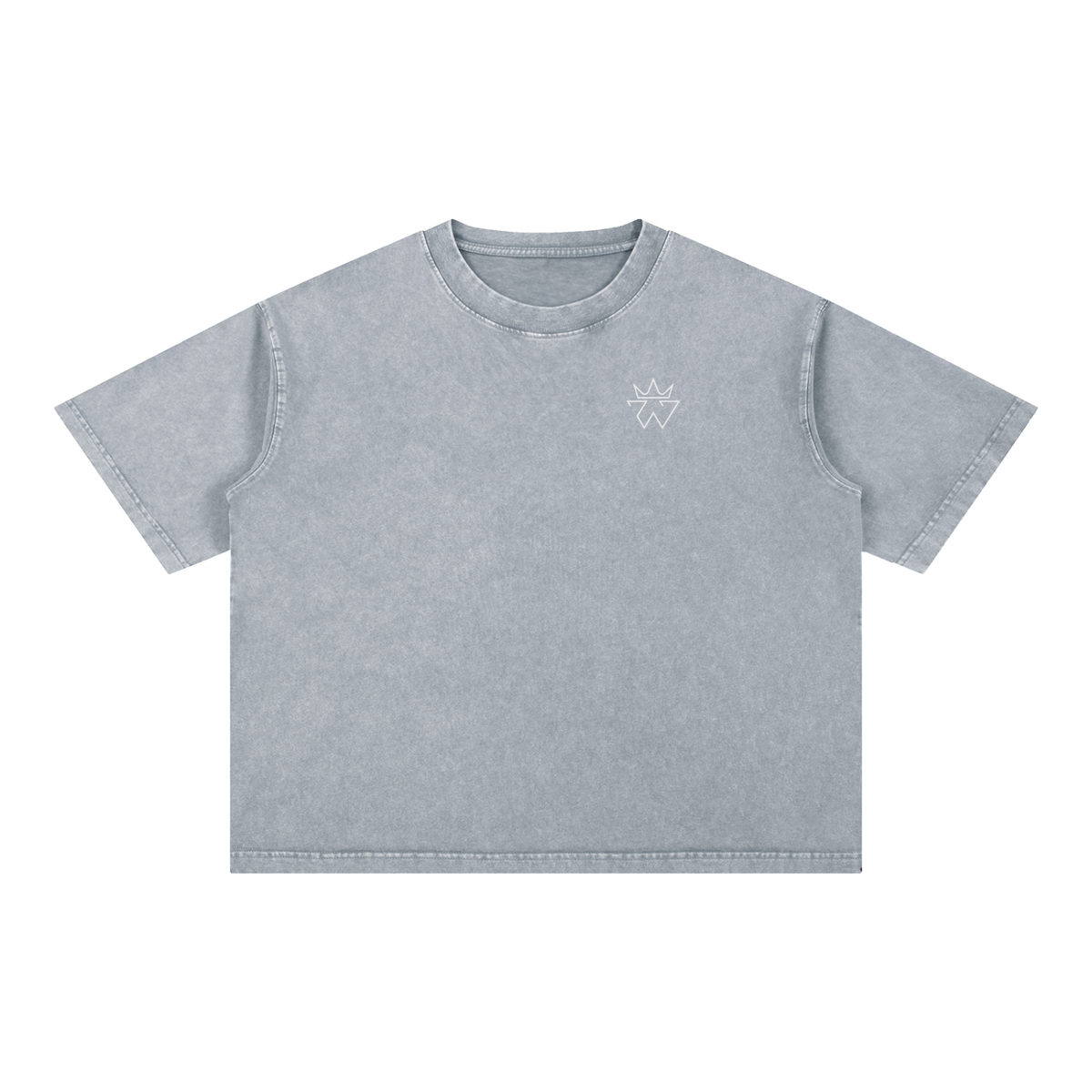 Lion and the Lamb Oversized Tee — Revelation 5:5-6 | Mineral Wash Heavyweight