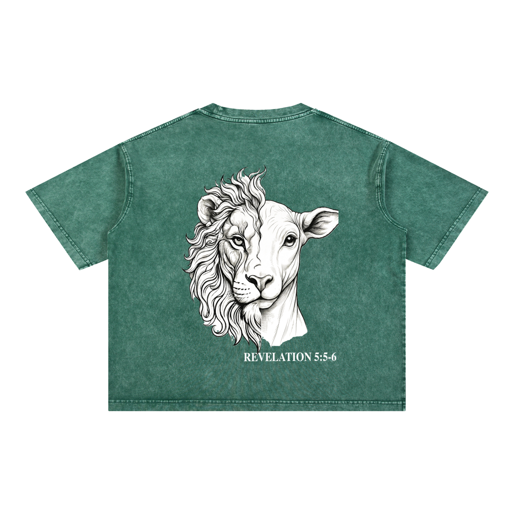 Lion and the Lamb Oversized Tee — Revelation 5:5-6 | Mineral Wash Heavyweight
