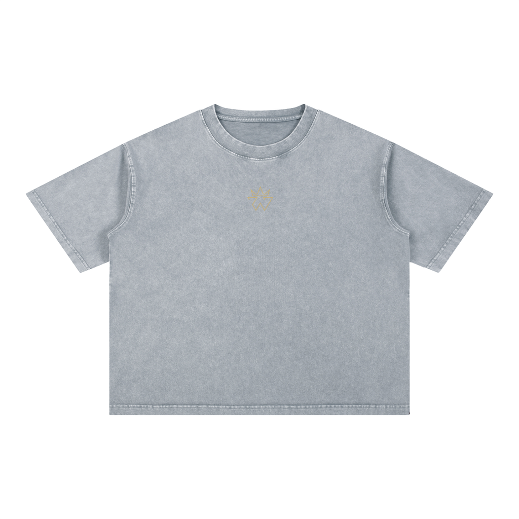 God Can't Lie Oversized Tee — Hebrews 6:18 | Mineral Wash Heavyweight