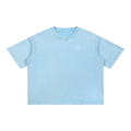 Lion and the Lamb Oversized Tee — Revelation 5:5-6 | Mineral Wash Heavyweight