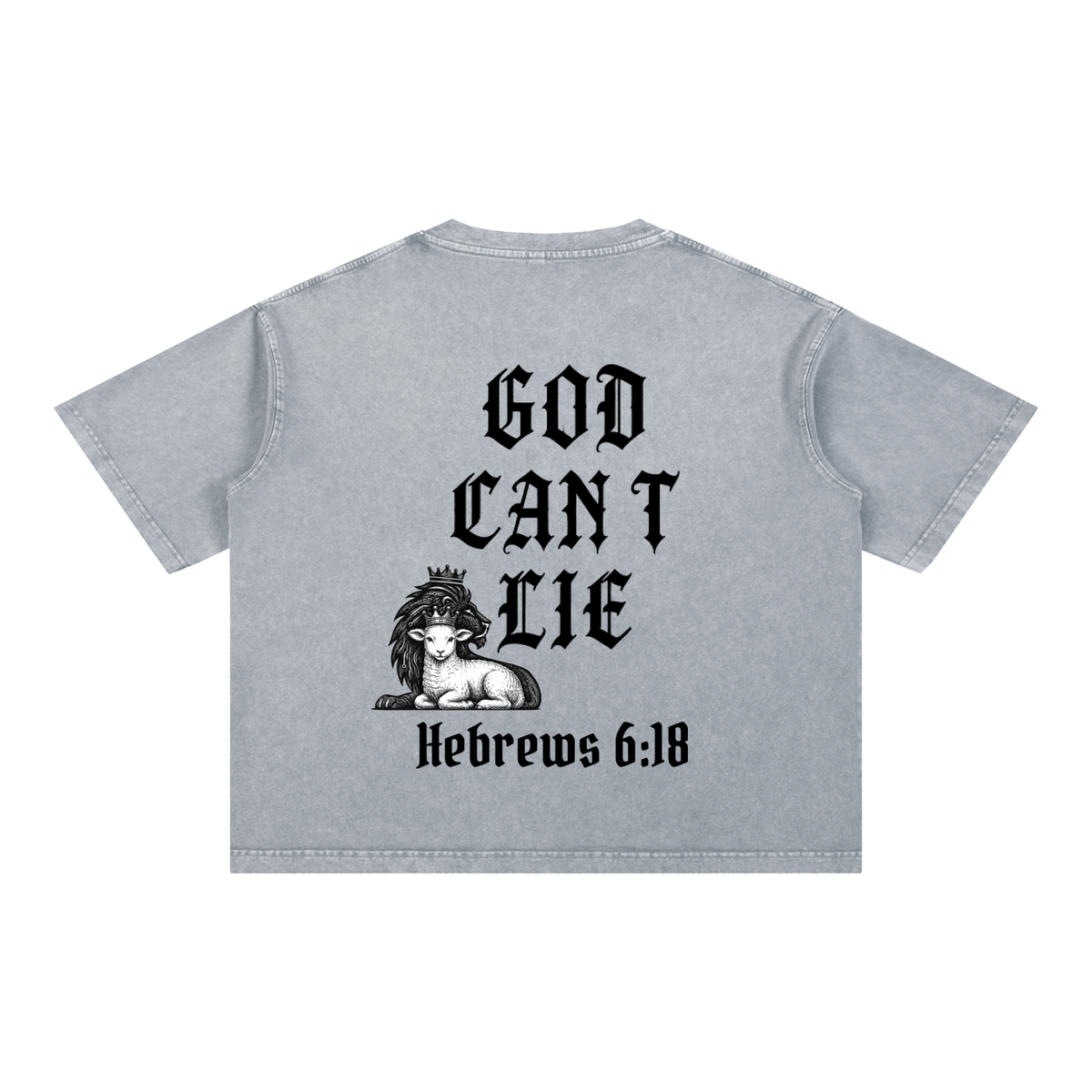 God Can't Lie Oversized Tee — Hebrews 6:18 | Mineral Wash Heavyweight
