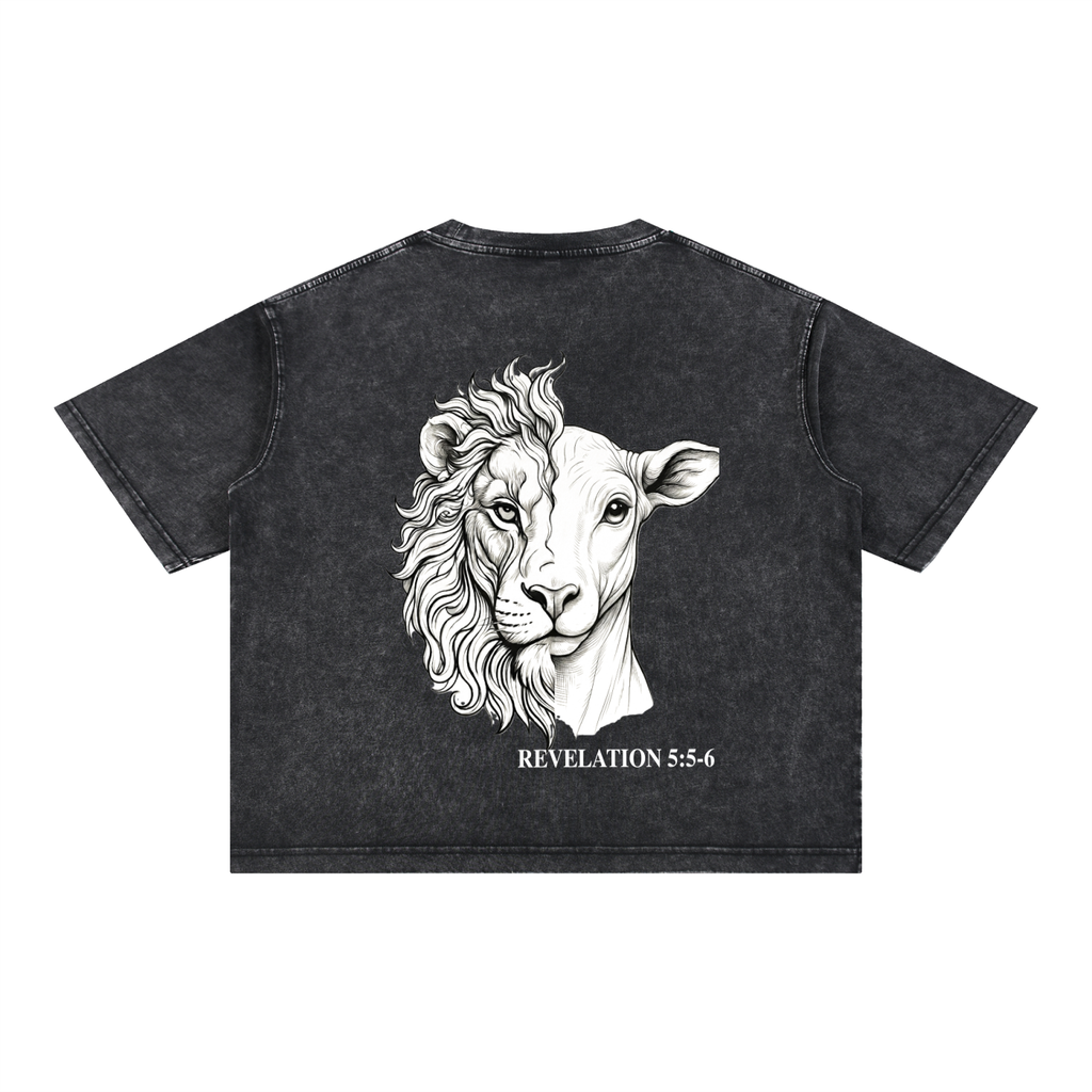 Lion and the Lamb Oversized Tee — Revelation 5:5-6 | Mineral Wash Heavyweight