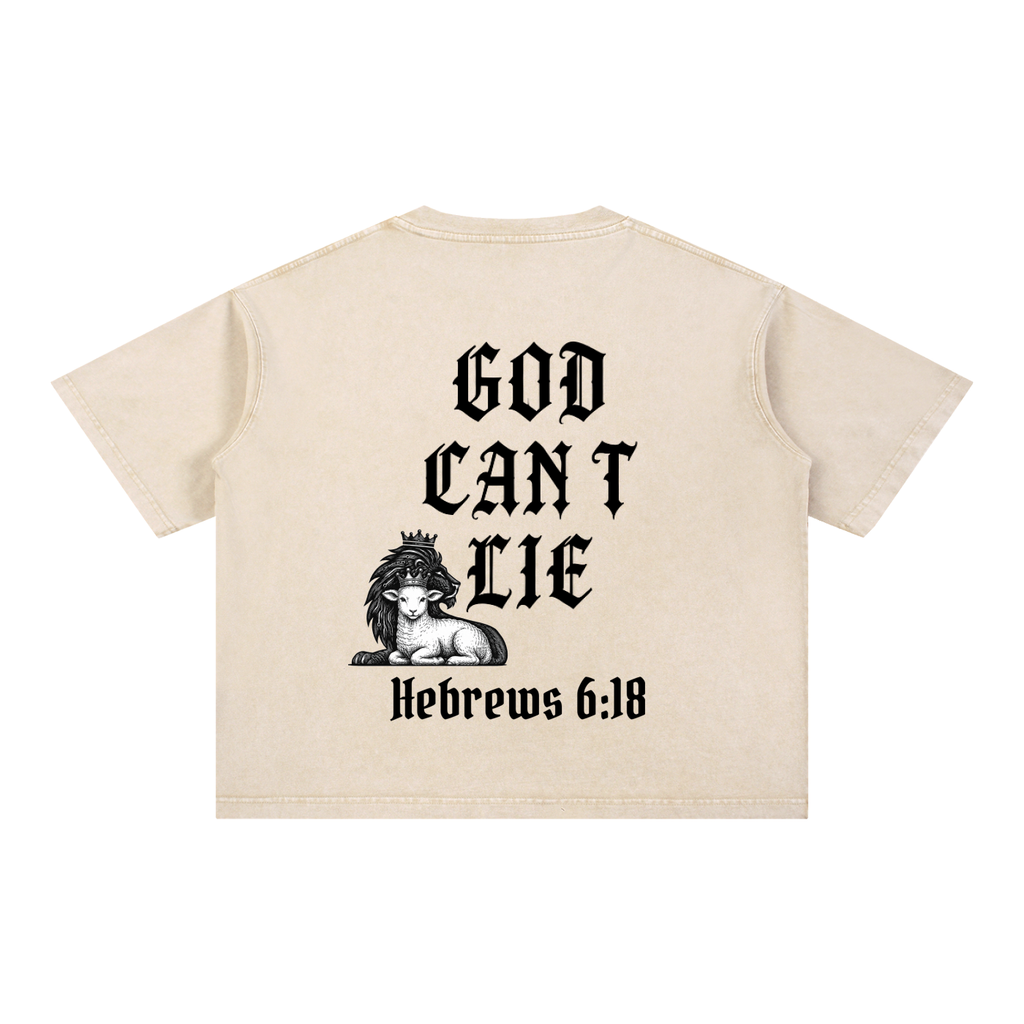 God Can't Lie Oversized Tee — Hebrews 6:18 | Mineral Wash Heavyweight