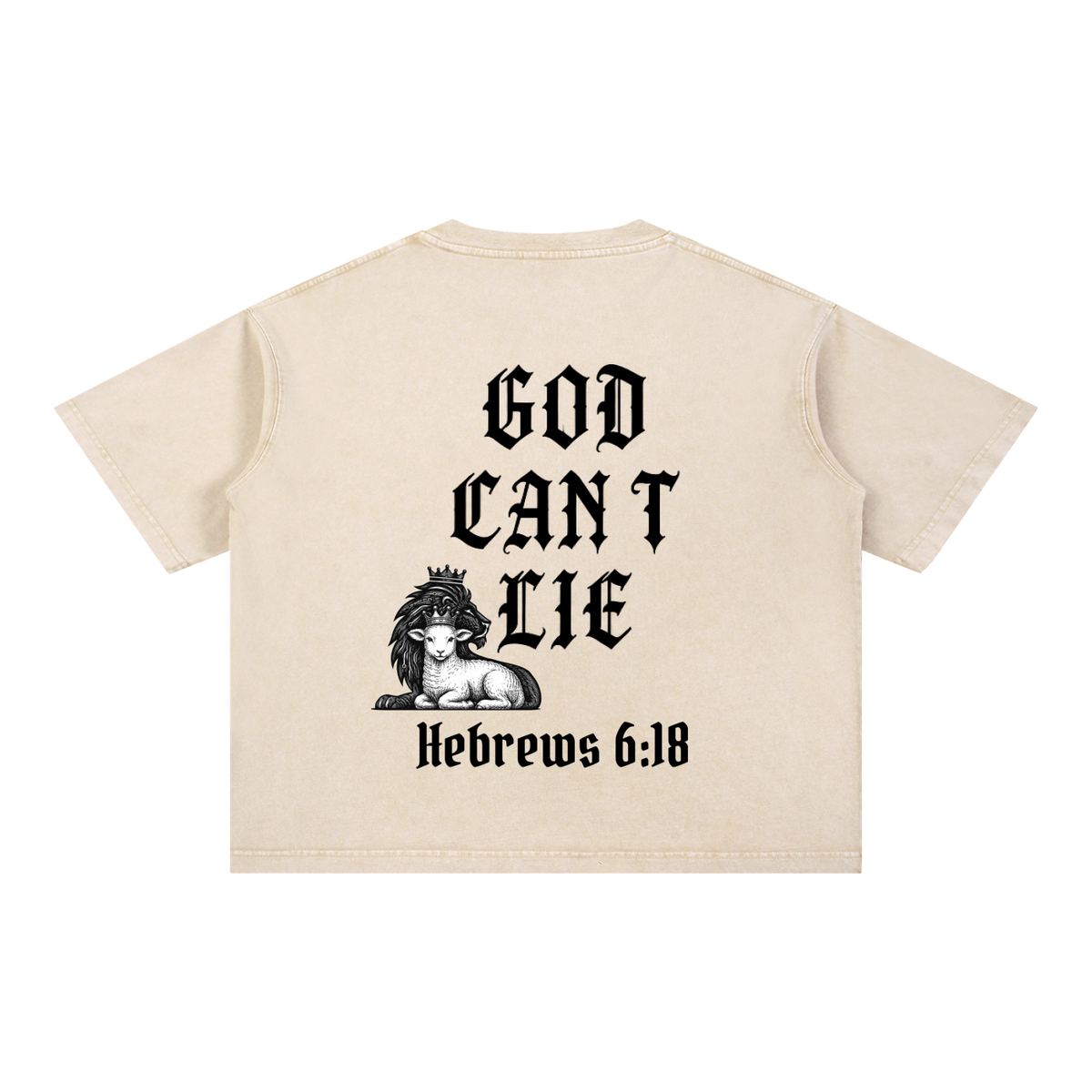 God Can't Lie Oversized Tee — Hebrews 6:18 | Mineral Wash Heavyweight