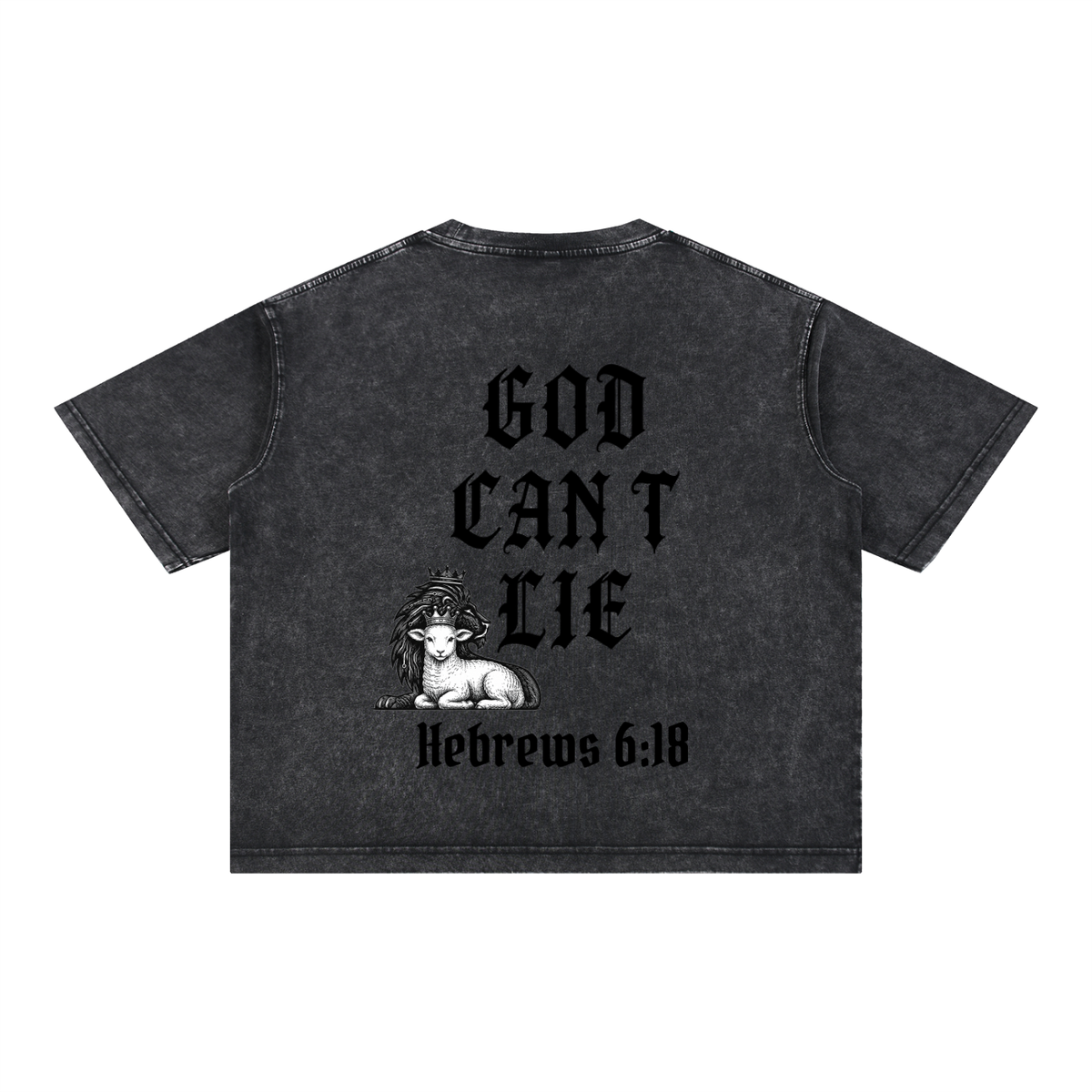 God Can't Lie Oversized Tee — Hebrews 6:18 | Mineral Wash Heavyweight